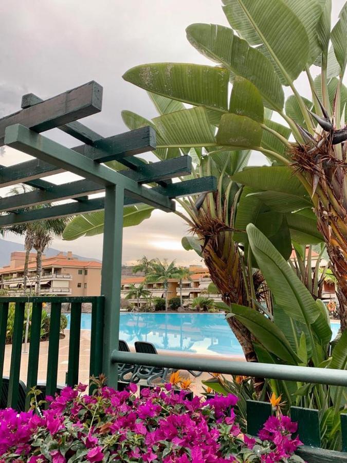 Piso Jardines Del Teide En El Puerto De La Cruz Appartement Buitenkant foto